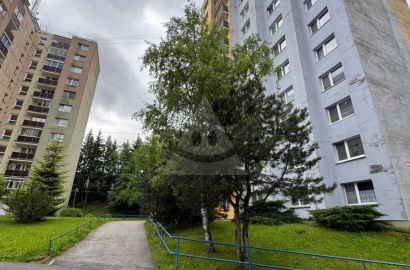 1-izbový byt v pôvodnom stave na predaj, ulica Smreková - Klačno
