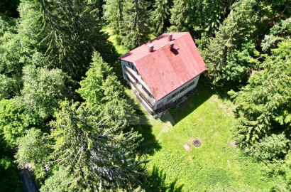 Exkluzívna Investičná Príležitosť s Príbehom: Chata pri Smrekovici s Povolením na Rekonštrukciu!