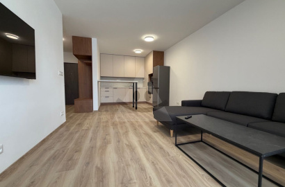 2 izbový byt s parkovacím miestom na prenájom, ul.K.Krčméryho