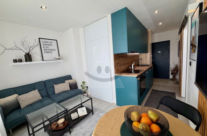 Tastefully renovated 1-room apartment (converted into a 2-room apartment), Za Dráhou Street