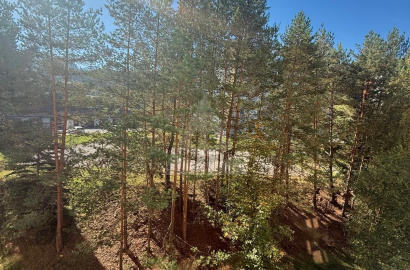 1-room flat for rent Slovensko